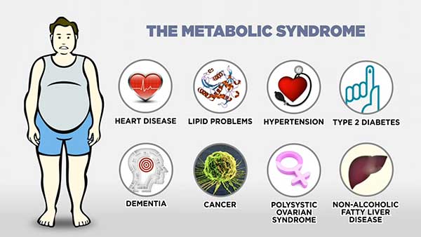 Food That Is Good for Fatty Liver: Optimal Diet Tips