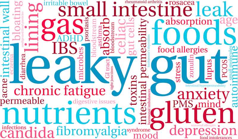 leaky gut and fatty liver