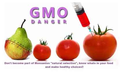 GMOs and Their Impact on Health