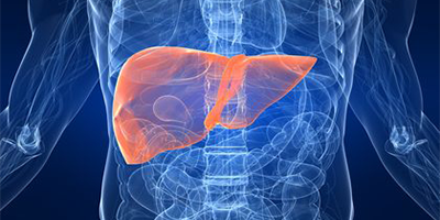 Do Liver Detox Supplements Help Fatty Liver?