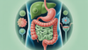 Illustration of the human digestive system focusing on gut health, using soft greens and blues to show balance between yeast and bacteria, with abstract elements hinting at candida and women's urinary tract health.