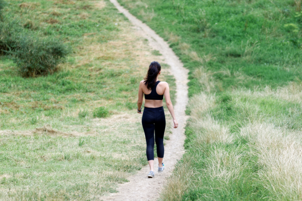 liver health, tissue regrowth, regeneration of fatty liver