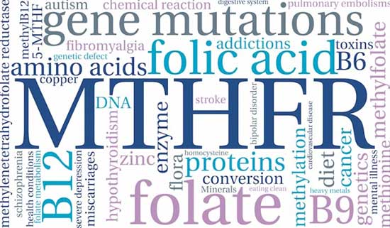 MTHFR Gene Mutation