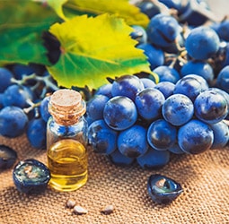 Grape Seed Extract
